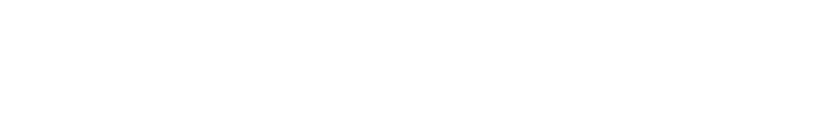 Logo beta.gouv.fr blanc